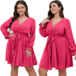 Women's Plus Size Long Sleeve Wrap V Neck Tie Waist A Line Mini Dress